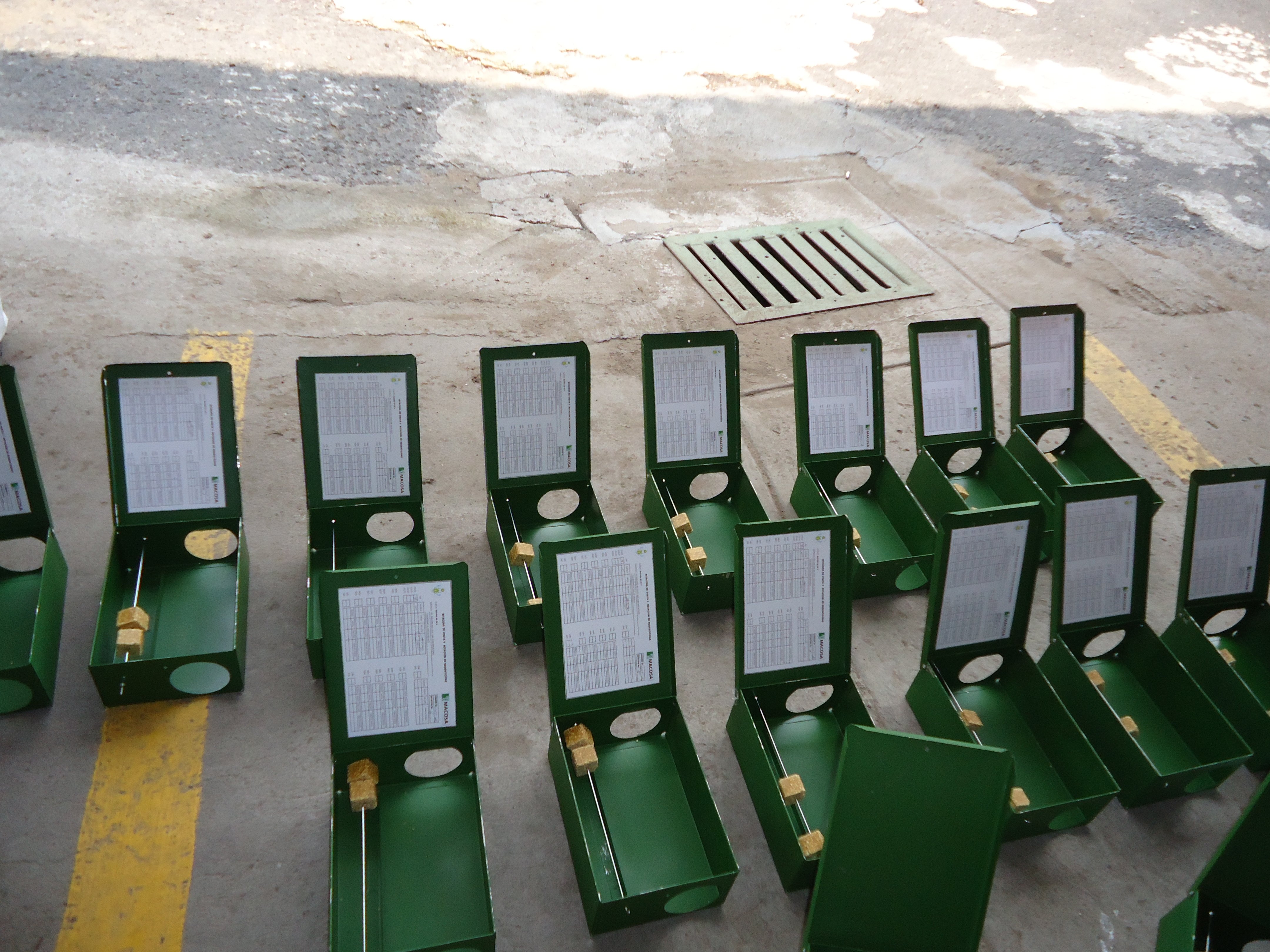 ELIMINAR CHINCHES DE CAMA EN COLONIA TEPETONGO